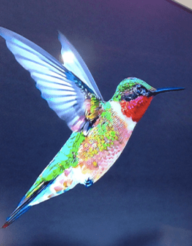 Hummingbird Google